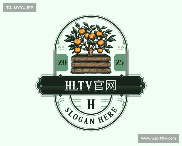 发现hltv官网